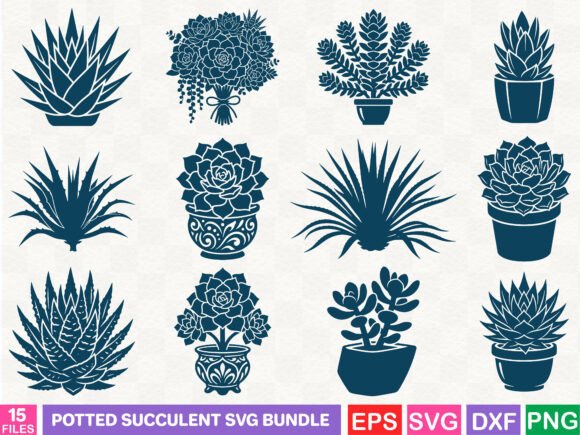 A Potted Succulent SVG Bundle for Graphics & Illustrations