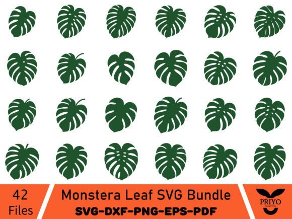 Using Monstera Leaf Graphics for Local Business Branding